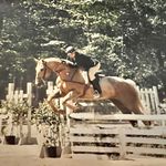 Stacey Settles Harrell - @puckmom6877 - Instagram