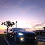 Stacey Harrold - @catdog123431 - Instagram