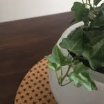 Stacey Hearn - @blackthumbreformed - Instagram