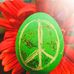 Stacy Hearn - Facebook