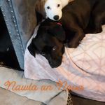 Stacey Carl Hebert - @nalwa_1980 - Instagram