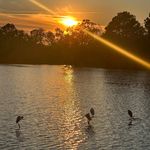 Stacey Hebert Negron - @staceyn72 - Instagram
