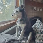 Stacey Hendrickson - @hendrickstace80 - Instagram