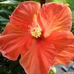 Sharon Stacey Hester - @sharonstaceyhester - Instagram
