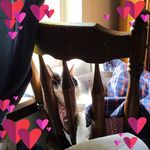 Stacey Hester - @darkvanilla43 - Instagram