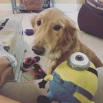 Stacey Hesters - @staceyhesters - Instagram