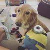 staceyhesters - @stacey.hesters - TikTok
