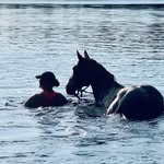 Stacy Trudeau Heuer - @stacytrudeauheuer - Instagram