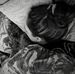 Stacey Hicks - Facebook