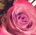 Stacey Hinton - Facebook