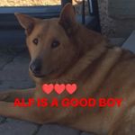 Stacey Hinton - @hinton6455 - Instagram
