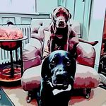 Stacey Hinton - @madewithlovebystacey - Instagram