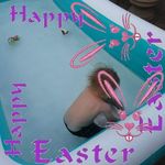 Stacey Holt - @stacey.holt.900388 - Instagram