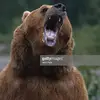 Stacey HoltSpartan - @stacey.holtsparta - TikTok