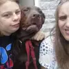 staceyholt53 - @staceyholt53 - TikTok
