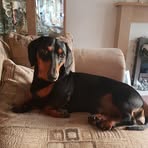 Stacey Hood Woolmer - Facebook