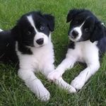 Stacey Zeager Houck - @staceylovesgreg - Instagram
