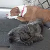 staceyhouck - @staceyhouck - TikTok