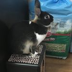 Stacey Jaros Mayer - @stacey_mayer - Instagram