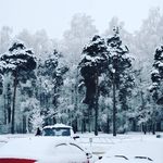 Stacy Jorgensen - @starrudaleb970 - Instagram