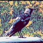 Stacey Joy - @stacey_joy_art - Instagram