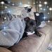 Stacey Keeling - Facebook