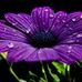 Stacy Keeling-briggs - Facebook