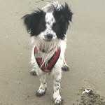 Stacey Keene - @staceyk2225 - Instagram