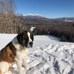 Stacey Keene - @keene7000 - Instagram