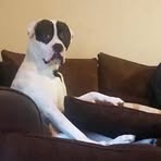 Stacey Kendall - Facebook