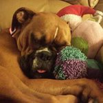 Stacey McGee Keyes - @staceymcgeekeyes - Instagram