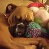 staceymcgeekeyes - @stacey.mcgee.keye - TikTok