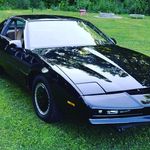 Stacey Jane kitt glander - @staceyglander - Instagram
