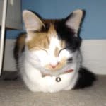 Stacey - @stacey_kittykat - Instagram