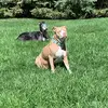 stacey.kline - @stacey.kline - TikTok