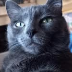 Stacey D Knapp - @sdknapp1111 - Instagram