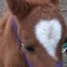 Stacey Knapp - Facebook