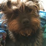Stacey Knapp - @crawfordknapp - Instagram