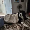 Stacey Knapp Miller - @stacey.knapp.mill - TikTok