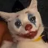 StaceyLam - @staceylamldgwvxs - TikTok