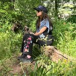 Stacey Lawrence - @birdladyslk - Instagram