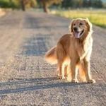 Stacey Littlejohn - @littlejohn150357 - Instagram