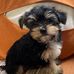Stacey O'Dell Littlejohn - Facebook