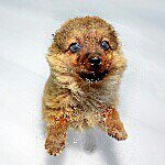 Stacey Lowry - @iz_lovez_animalz - Instagram