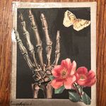 Stacey Maas - @goldensideshowbeauty - Instagram