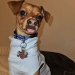 Stacy Magee - @stacy.magee - Instagram