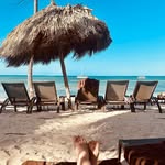 Stacey Maher Sellberg - @staceymahersellberg - Instagram