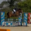 Stacey Marsh - @staceymarsh08 - TikTok