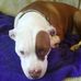 Stacy Marsh - Facebook