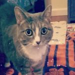 GoldCelebration - @staceymarvin9154 - Instagram